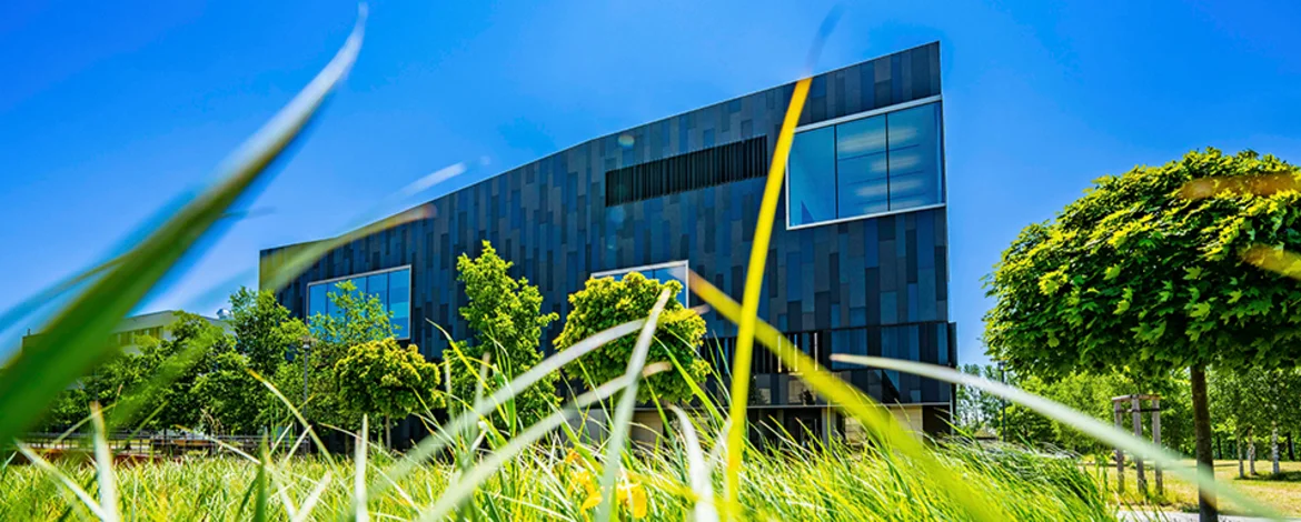 IKMZ Golm mit blauem Himmel und grünem Gras - 