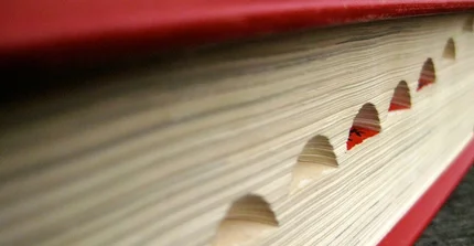 Buch mit Register